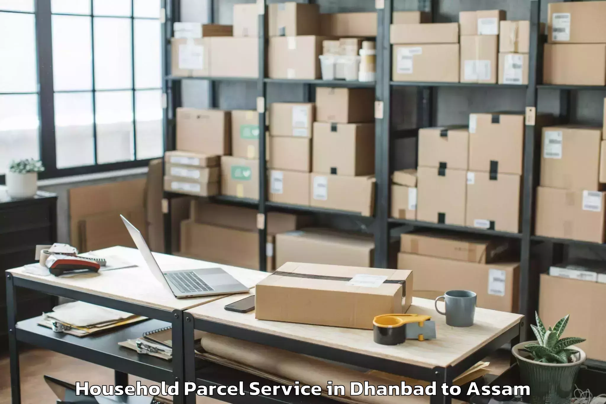 Professional Dhanbad to Pathorighat Pt Household Parcel